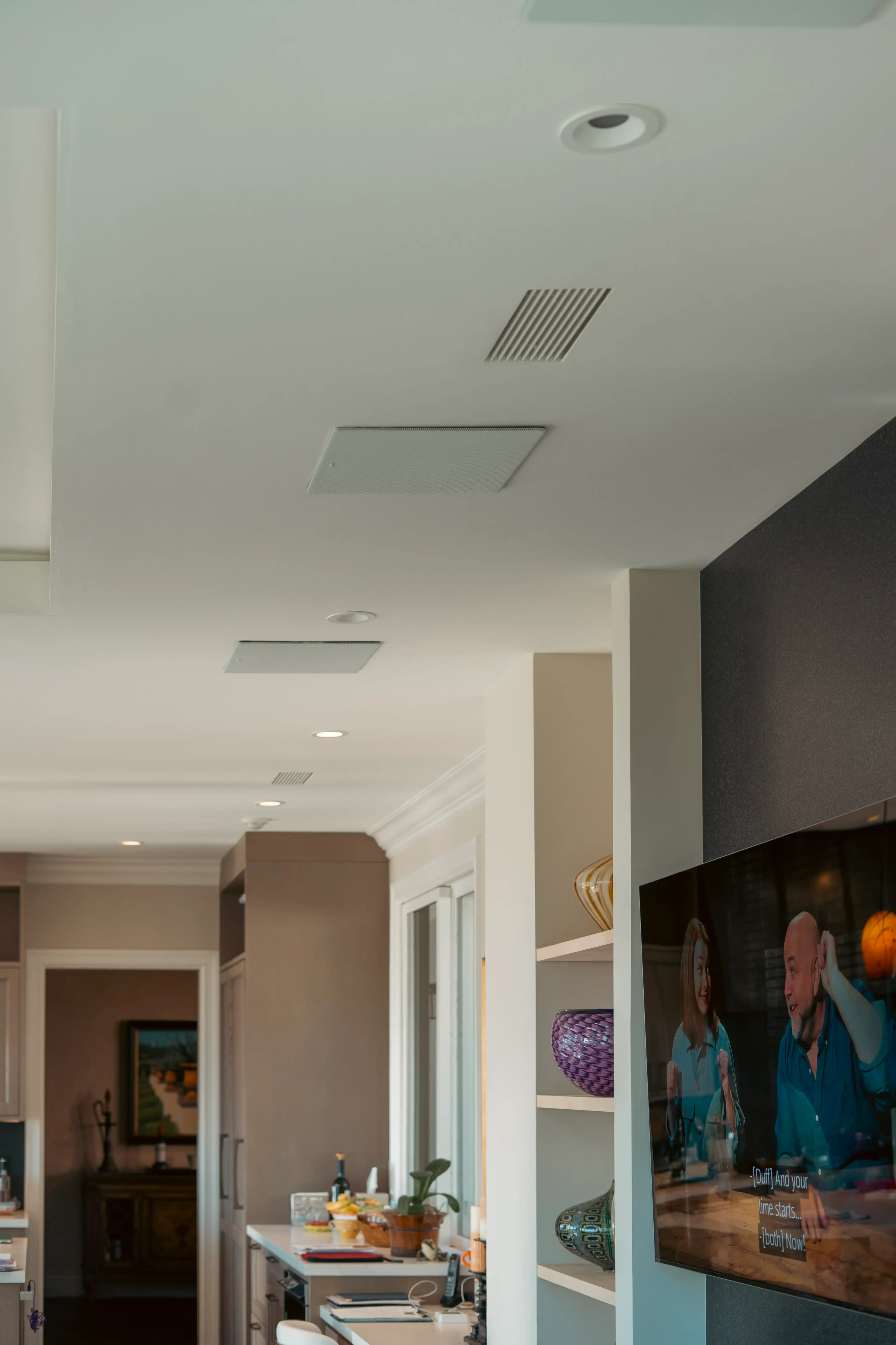 Tiburon whole-home automation project by Proava Tech - photo 4